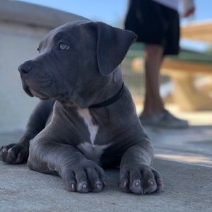 Meet your Posher, Diego